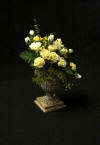 Roma Urn