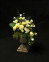 Roma Urn